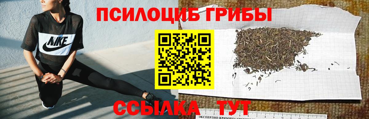 Галлюциногенные грибы мицелий Благодарный
