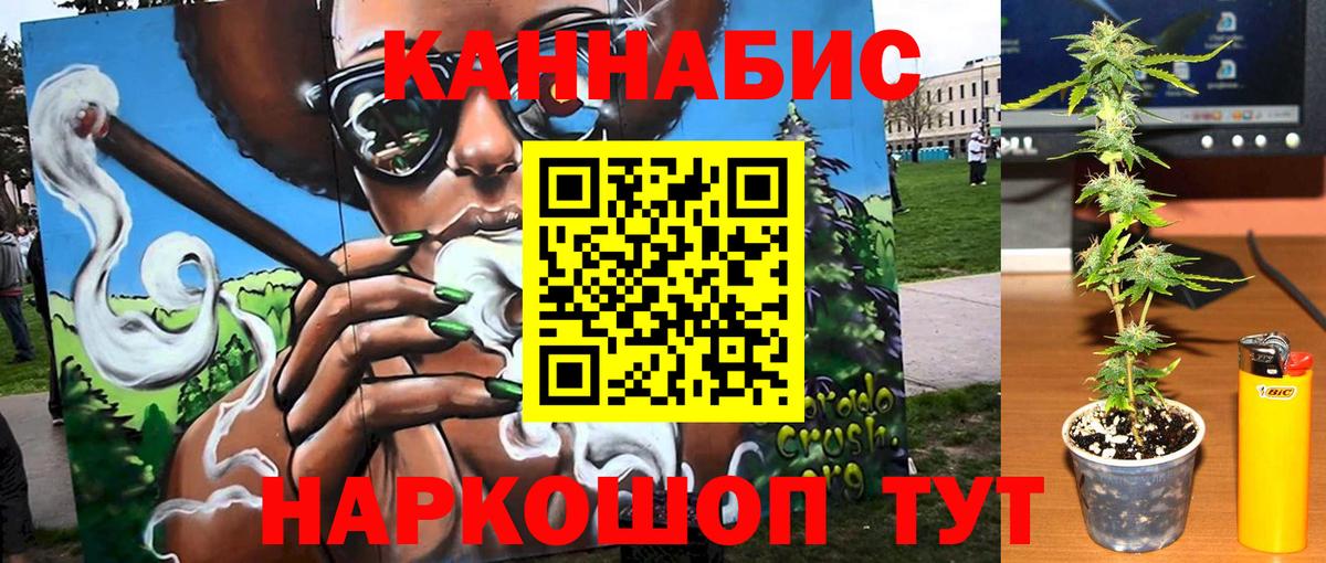 Марихуана план  Вход с VPN  Бошки марихуана конопля  МАРИХУАНА AK-47  Каннабис индика  Благодарный 